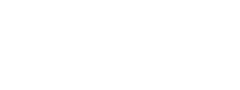 Lev Ins